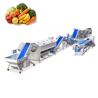 Complete automatische fruit- en groenteverwerkingslijn voor diepvries aardbeien, bosbessen, frambozen met wassen, sorteren en IQF