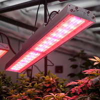 Lampe de culture LED à spectre complet IP66 pour la croissance des plantes hydroponiques, lampes de culture à spectre complet, lampe de croissance des plantes à intensité variable