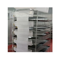 Chevelure de poulet automatique pouces, système de Cage moderne pour élevage de volaille