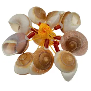 Conch Whistle Outdoor Gifts Shell Decor Metal Whistle Jewelry Kids Play set Seashells for Decorating Plastic Playes Music Gift