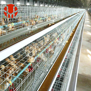 Nuovo un tipo di gabbia di pollo eco-friendly piramide con sistema di alimentazione autoamtica gabbia di allevamento di pollame di lunga durata - Product Image 4