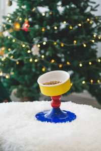 Bol en céramique automatique réglable pour animaux de compagnie avec base inclinable Bol de nourriture en plastique pour chiens en boîte de petite taille - Product Image 2