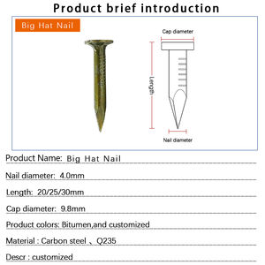 Clous en acier <span class=keywords><strong>de</strong></span> haute qualité pour béton, clous collés pour linoléum, clous pour toiture, clous en bois à tige polie, clous en acier au carbone pour la construction, clous à tête large - Product Image 5