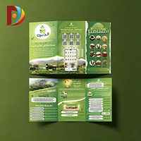 Brochures et dépliants personnalisés de haute qualité en carton fantaisie, impression recyclable, impression numérique, plastification, promotion de la marque