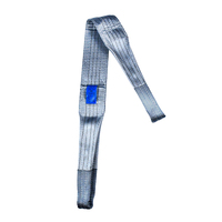 Profesyonel fabrika özel 1.5m 12cm gri Polyester dokuma Sling tipi 4T düz