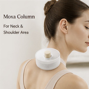 Colonne de Moxa d'Armoise Pure Vieillie Personnalisable pour Réchauffement des Méridiens et Soulagement des Douleurs Articulaires, Lombaires et des Épaules, Certifiée CE - Product Image 3