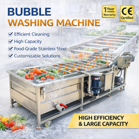 Laveuse automatique de légumes 3M, nettoyeur de poivre noir, équipement de nettoyage de légumes à feuilles, machine à laver avec certification CE