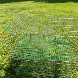 Jaula de Cría Interior para Pollitos de Gallina Leghorn, Codornices y Patitos Amarillos - Jaula para Aves de Corral - Product Image 4