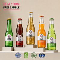 Boissons gazeuses pétillantes aromatisées aux fruits OEM, enrichies en fibres alimentaires, capacité mensuelle de 200 tonnes, vente en gros de boissons en bouteilles PET et en verre