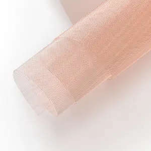 Customize Size 10m Width Plastic Anti Insect Mesh Nylon Flat Insect Proof Net