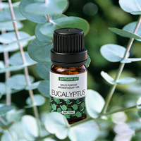 Fournisseur d'huiles essentielles OEM/ODM Huile essentielle d'eucalyptus pure naturelle biologique de qualité supérieure pour diffuseur et aromathérapie