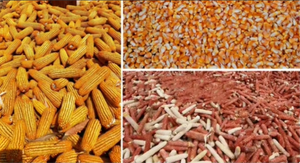 Sgranatore di Mais ad Alta Efficienza, Separatore Elettrico di Cereali per Lavori di Trebbiatura in Fattoria e Casa - Product Image 6