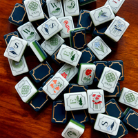 Jeu de Mahjong Américain Rétro à Motifs Botaniques en Relief, en Acrylique Crème Ivoire, Tons Doux, Motifs Fleurs Sauvages, Cadeau Unique pour Femmes