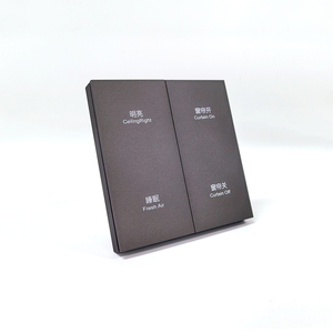Touch & Voice Control Industrial <b>Plastic</b> <b>Wall</b> Switch <b>Panel</b> for Smart Mesh Remote 800W for Home Automation - Product Image 5
