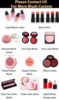 Poudre de Maquillage Personnalisée Vegan Blush Surligneur Bronzer Palette de Maquillage à Haute Teneur en Pigments Haute Qualité Meilleur Blush Marque Privée