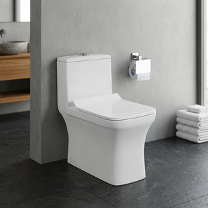 WC monobloc en céramique blanche Vistaar avec réservoir encastré, jet siphonique, double chasse, économie d'eau, toilette à poser au sol - Product Image 3