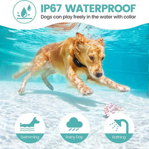 Collar de Adiestramiento para Perros Recargable e Impermeable 2025, con Largo Alcance Remoto y Niveles de Choque Ajustables, Material Plástico - Product Image 5