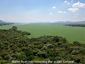 스테인레스 스틸 물 청소 보트, 장기간 양식장 사용을 위한 부식 방지 - Product Image 5