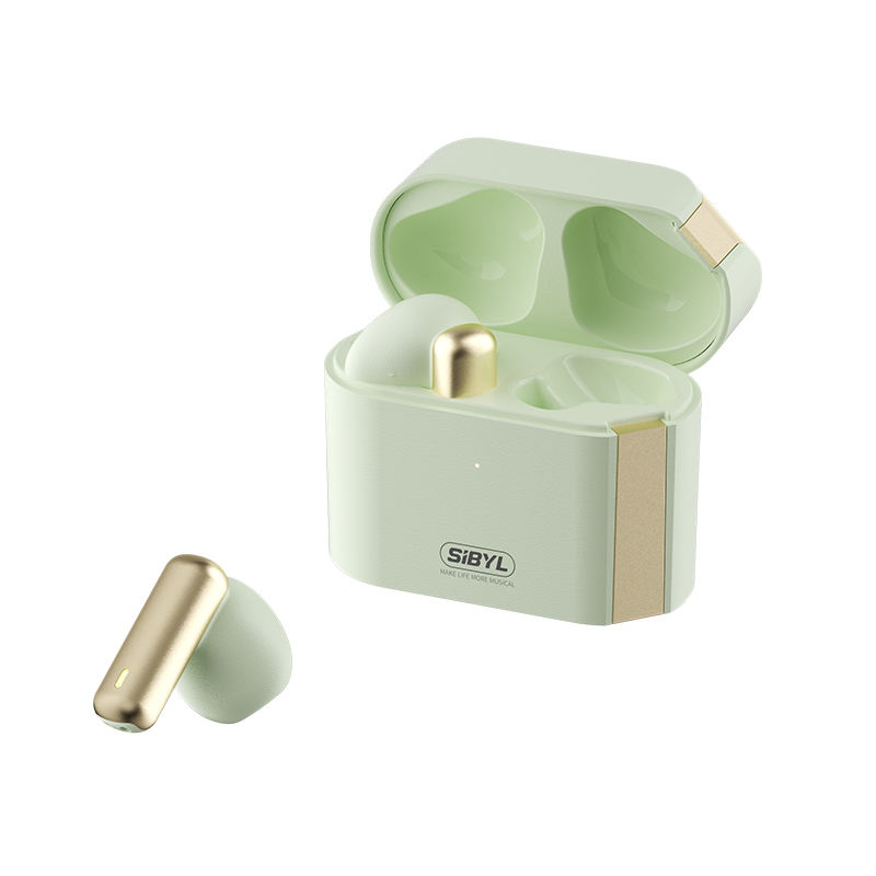 รุ่นปกติ