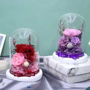 Vente en gros de fleurs éternelles en dôme de verre : œillets, roses, hortensias – Cadeau romantique pour la Fête des Mères, la Fête des Enseignants, les anniversaires - Product Image 2