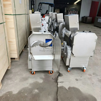 Dubbele Koppen Multifunctionele Snijmachine voor Bladgroenten, Wortelgroenten, Chinese Prei, Kool, Ui, Ananas