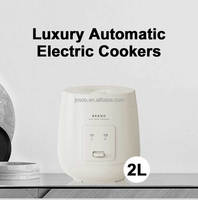Mini-cuiseur à riz électrique 2L avec tasse doseuse, boîtier en plastique, fonction mijotage automatique pour petites cuisines