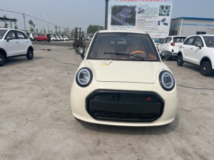 Xinhamai D21 Mini veicolo elettrico puro di fascia alta facile da usare nuovo veicolo energetico per anziani e <span class=keywords><strong>giovani</strong></span> - Product Image 6