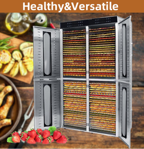 Déshydrateur alimentaire FD-96D, nouveau modèle pour fruits et légumes - Product Image 5