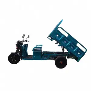 Folding 700Kg Pedicab Motorized Electric Tricycle With Cheap Price
