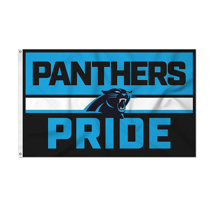 Panthers de la Caroline