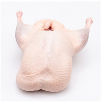 프리미엄 냉동 오리 통살 (발, 날개, 내장 제외) 케이터링 및 국제 시장용