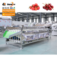 Machine de tri des cerises, ligne de tri des myrtilles, machine de calibrage des avocats avec revêtement en matériau souple épaissi