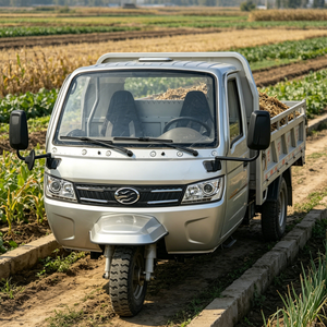 <span class=keywords><strong>Triciclo</strong></span> de Carga Runhorse T1000 con Caja de Carga, Motor de Gasolina de 1000 CC, <span class=keywords><strong>Triciclo</strong></span> Agrícola, Triciclos de Gasolina Usados en Buen Estado - Product Image 6
