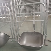 Cage de maternité pour truies, utilisée en élevage porcin, à vendre, avec plancher galvanisé