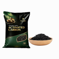 Charbon actif de qualité expert en particules de coque de noix de coco solide, maille 8x16, pour la récupération sélective de l'or et le processus de raffinage minéral