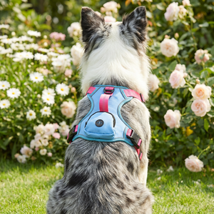 MIDEPET高品質ファッションメッシュノープル犬用ハーネス、うんち袋ディスペンサー付き、中型/大型犬用頑丈なサポートハンドル - Product Image 2