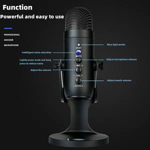 Microphone à condensateur USB, voix mangeant du poulet, cours en ligne, ordinateur de bureau, jeu, hôte, réunion de chant - Product Image 4