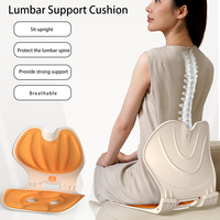 Coussin de soutien lombaire pliable pour chaise de bureau, siège de voiture, oreiller ergonomique de soutien dorsal pour soulager la posture, utilisation à domicile, OEM ODM