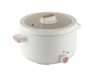 Tout en un poêle portable électrique mini marmite cuiseur à riz multifonctionnel pour pâtes, Shabu-Shabu, flocons d'avoine, soupe et oeufs
