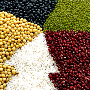Frijoles Blancos de Brasil, Suministro a Granel - Product Image 1