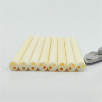 Rol Keramik Alumina Kemurnian Tinggi 2/4/6 Lubang, Tabung Isolator Keramik Al2o3 untuk Perlindungan Termokopel