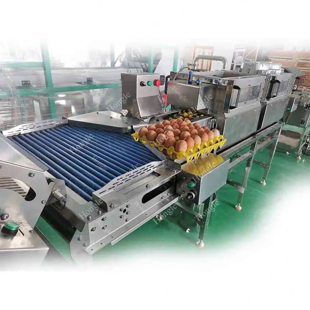 Fabricante Egg Washer Sorter Machine Egg Washing Opening Sorting Grading Machine Com Ótimo Preço