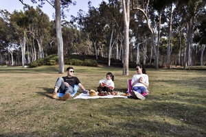 Sedia da <span class=keywords><strong>campeggio</strong></span> leggera da spiaggia pieghevole <span class=keywords><strong>per</strong></span> il tempo libero all'aperto con borsa - Product Image 4