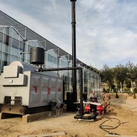 Chaudière à vapeur industrielle horizontale série DZH de 1 à 20 tonnes, alimentée au charbon, à la biomasse et aux copeaux de bois, prix direct usine CE