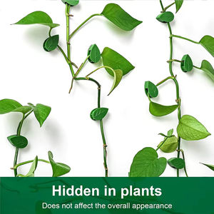 Clip auto-adhésif pour plantes grimpantes, support de boucle fixe en rotin pour vigne, crochet de traction, clips de jardin - Product Image 6