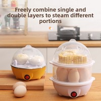 Cuiseur à œufs et cuiseur vapeur multifonctionnel transfrontalier en acier inoxydable double couche, mini appareil de petit-déjeuner domestique