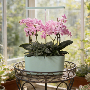 Lampe de culture LED avec rebord de jardinière, pot de plantes rectangulaire minimaliste, idéal pour les plantes vertes mélangées sur le rebord de fenêtre et dans le salon - Product Image 4