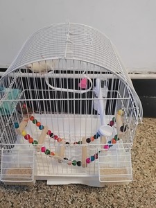 Doğrudan Fabrikadan Satış Düşük Fiyatlı Taşınabilir Kuş Kafesi Yenilikçi Yeni Kulübe Kafesi Dış Mekan Evcil Hayvan Kedisi Yetiştiriciliği için Arka Bahçe Kuş Gözlemciliği için - Product Image 4