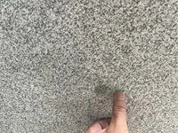 Pierre de pavé en granit naturel G603 blanc, surface flammée, très vendue, pour application intérieure et extérieure au design moderne