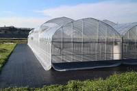 Filet Anti-Insectes en Plastique de Maille 50 pour Serres Agricoles, Utilisation en Ferme et Protection des Serres